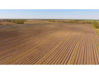 Property photo 23 - LAND AUCTION - 492+/- ACRES OFFERED IN 7 TRACTS IN SULLIVAN & KNOX COUNTIES, INDIANA